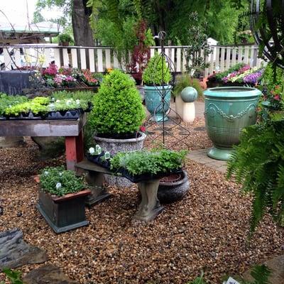 Visit our garden to see our seasonal selection of bedding plants, herbs, veggies, and pottery.