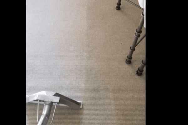 Wool Carpet Cleaning