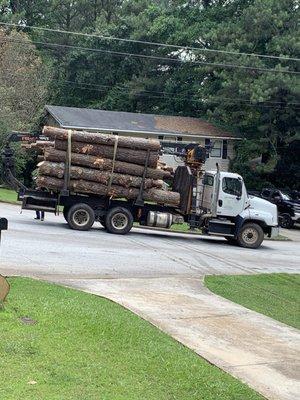 Truck carrying logs away