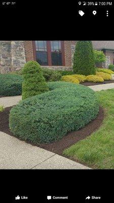 A&A Lawn Service & Landscaping