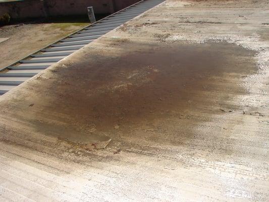 Ponding Water on Mobile Home Roof