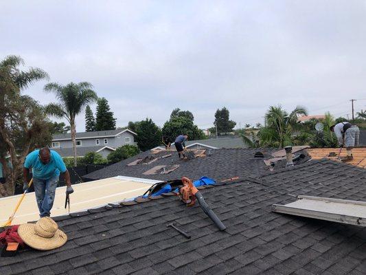 Ed Ellis Roofing