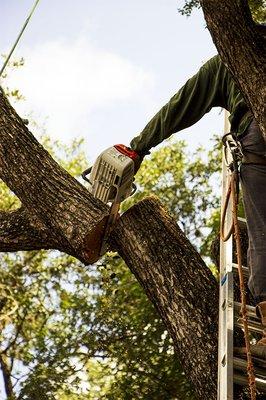 Buchanan Tree Service