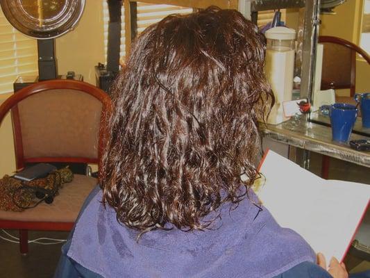 Before the Brazilian Blowout Smoothing Treatment