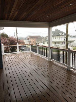 Custom Vinyl and Aluminum railing