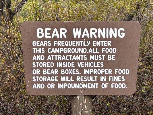 Watch out for Bears!