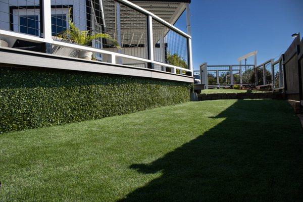 Boxwood Ivy and Fusion turf installation offered