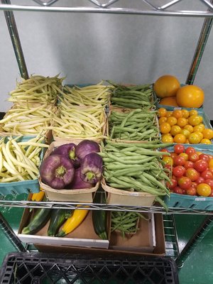 Fresh vegetables in season