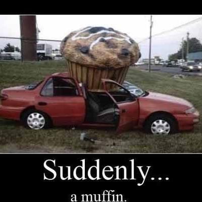 You're driving right along when suddenly a muffin falls from the sky! Don't wait for the Muffin to hit.Call Jay to buy car insurance today!