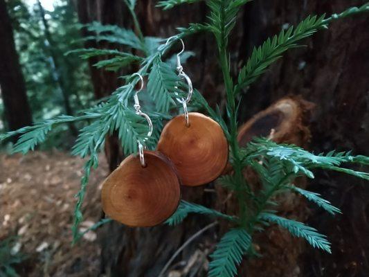 Green Heart Springs from Santa Cruz Mountain Top - Redwood Earrings with Hook