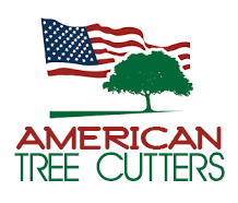 American Tree Cutters  Palm Tree Cutter & Tree Trimming Service