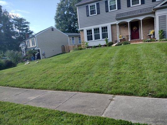 lawn maintenance
Landscaping
Grass cut