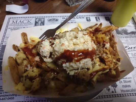 Loaded pulled pork fries.