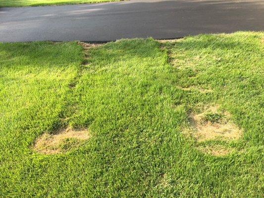 Damage to our front yard done by Sommerset Paving.