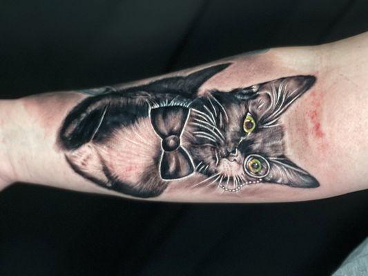 Tattoo of my cat