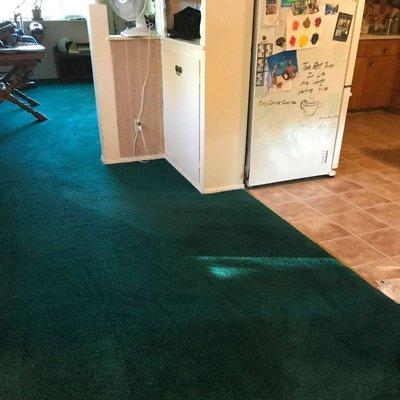 Bay Carpets & Upholstery Care