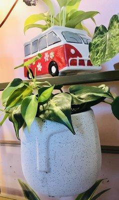 Thriving pothos and my boys loved the VW planter.