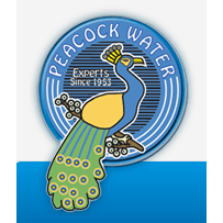 Peacock Water