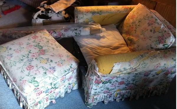 my Chintz chair before  re-upholstery