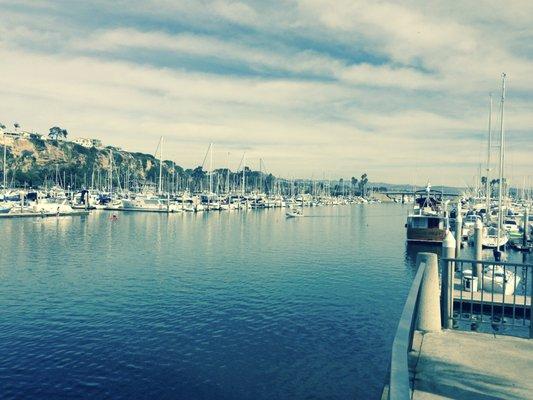 Language Servs in Dana Point, CA