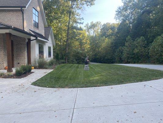 More stripes on another good looking lawn