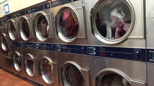 Dryers galore and clean