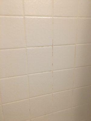 Shower tiles after a deep clean