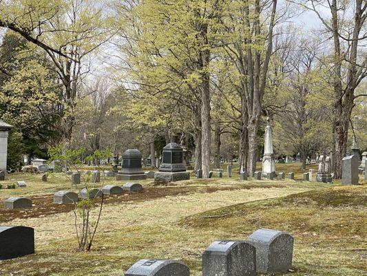 Part of the cemetery