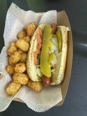 Chicago dog and tots