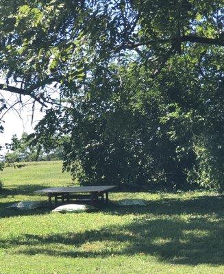 A great view for outdoor seating