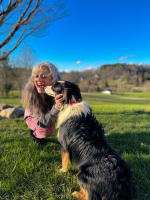 Farm Raised Miniature Australian Shepherds