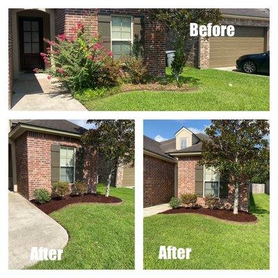 Before and after of a landscape clean up