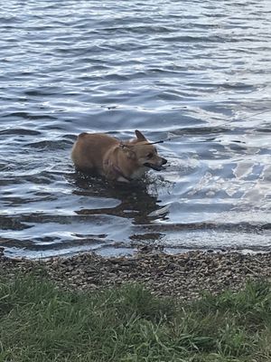 Dolly in the lake at falls