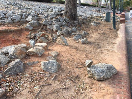 Rocks standing up