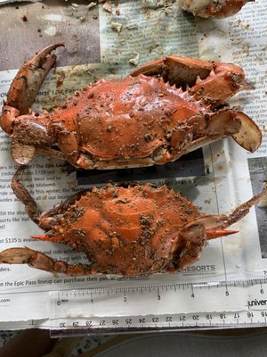 Steamed crabs