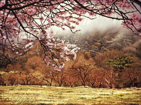 Apple Blossoms - Oak Glen by Fariad