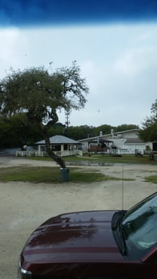 Tiki bar.. back of lodge