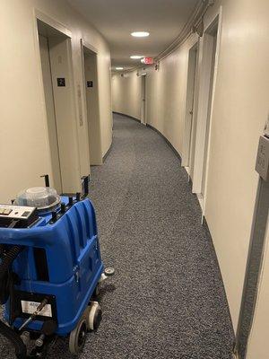 Extractor carpet cleaning