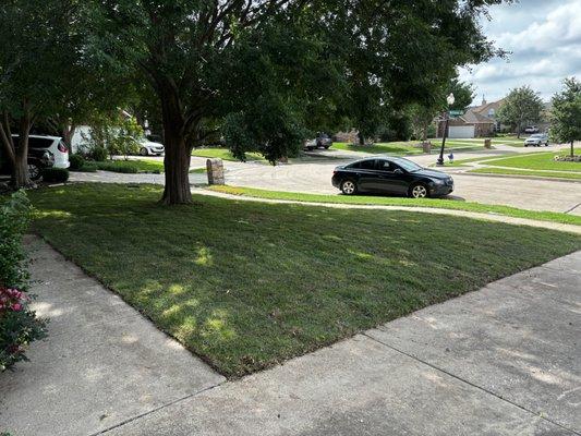 Sod Installation Palisades Zoysia Plano , Tx