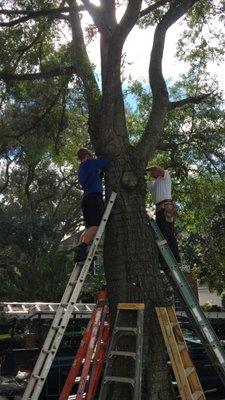 Justin (left) working with his uncle.