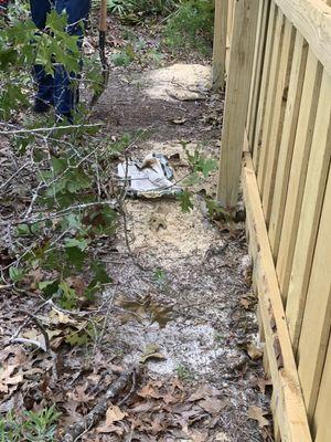 Half bags of concrete thrown behind our fence