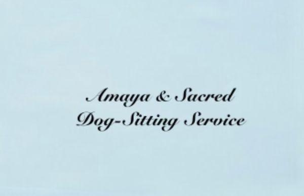 Amaya & Sacred Dog Sitting Service