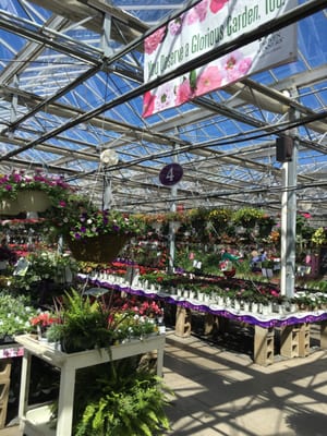 Flowers and plants galore!