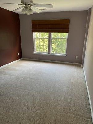 Carpet cleaning