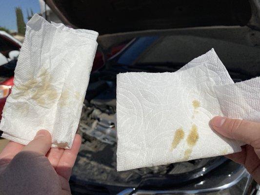 The tissue on the left is a vehicle that had an oil change 2 weeks ago. The right is my car that got an oil change 2 DAYS ago from chevy.