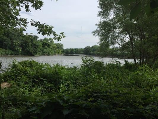 tidal flats of Hackensack River