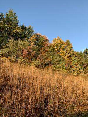 Greenway in the Autumn