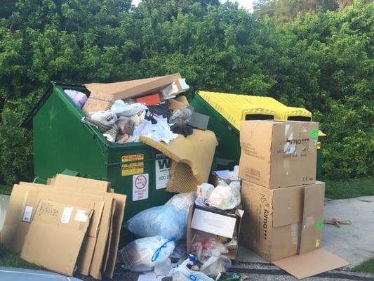 We finally have dumpsters back on property, but oh wait, they're overflowing health hazards.