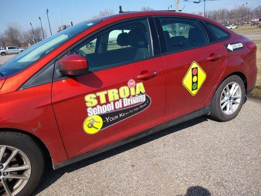 Stroia School Of Driving