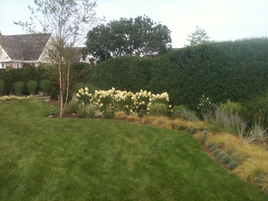 Professional lawn and garden maintenance and installation